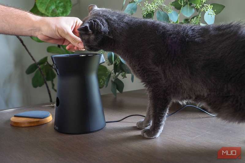 گربه‌ها با بوییدن خوراک دوربین Furbo 360°