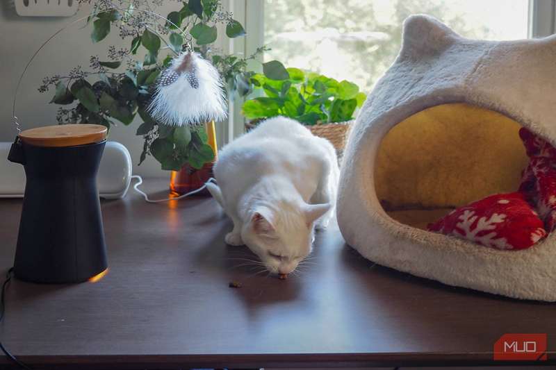 پرتاب خوراک دوربین Furbo 360° روی تخت گربه