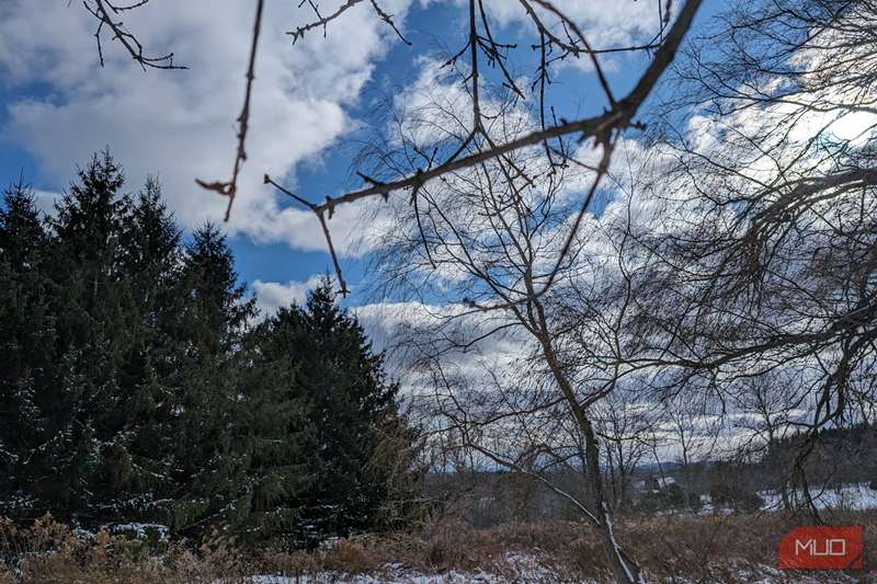 عکس یک صحنهٔ زمستانی بیرونی با Google Pixel 8