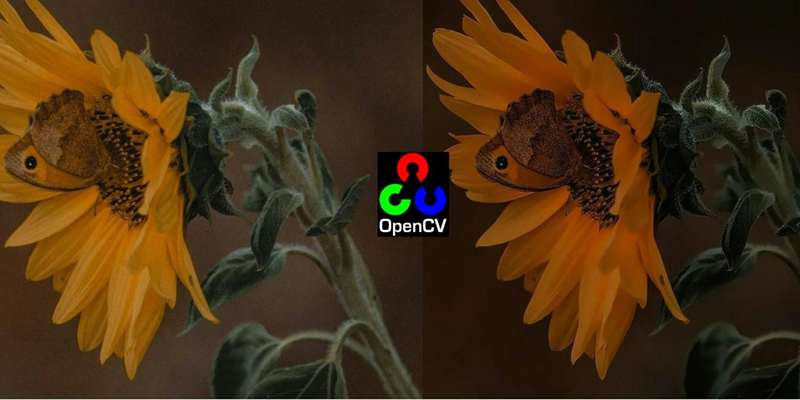 تصویر بهبود یافتهٔ آفتابگردان با لوگوی OpenCV