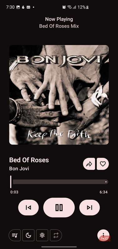 صفحهٔ در حال پخش در برنامهٔ Metrolist