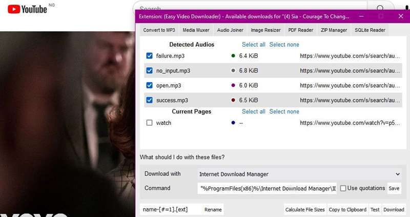 استفاده از Easy Video Downloader برای دانلود یک ویدیو از یوتیوب
