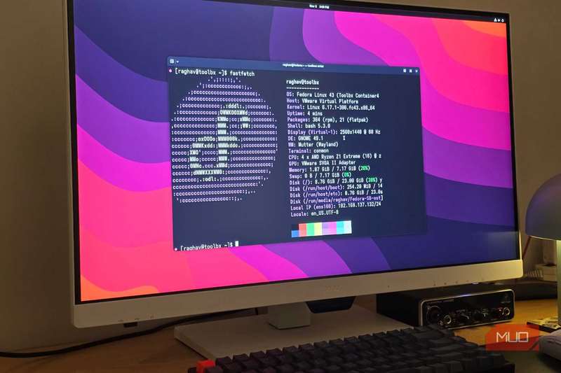 فدورا سیلوربلو در حال اجرا روی یک کامپیوتر با Fastfetch باز در ترمینال