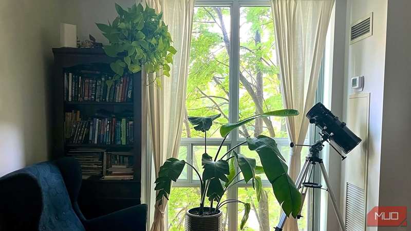 اتاق نشینی که گیاهان داخلی را نشان می‌دهد