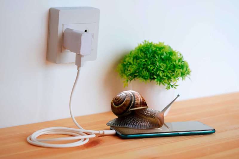 گوشی در حال شارژ با یک حلزون روی آن