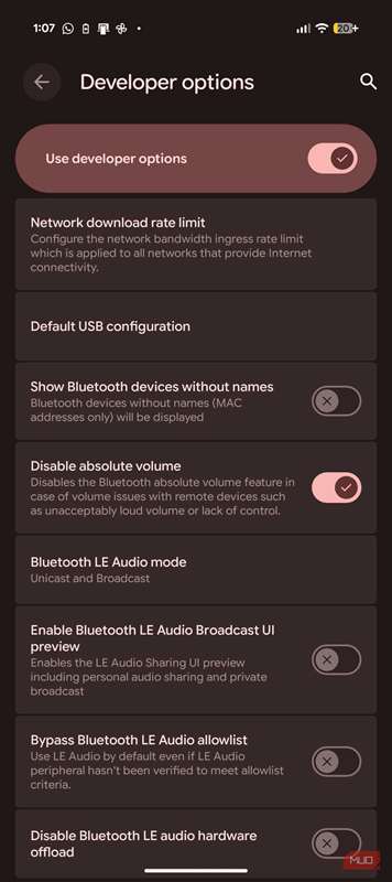 گزینه غیرفعال‌سازی حجم مطلق در تنظیمات توسعه‌دهنده اندروید.