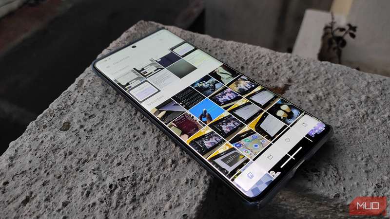 شبکهٔ عکس‌های صفحهٔ اصلی برنامهٔ گالری Aves