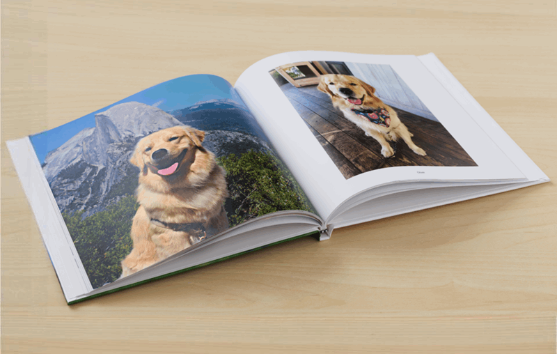 کتاب عکاسی گوگل