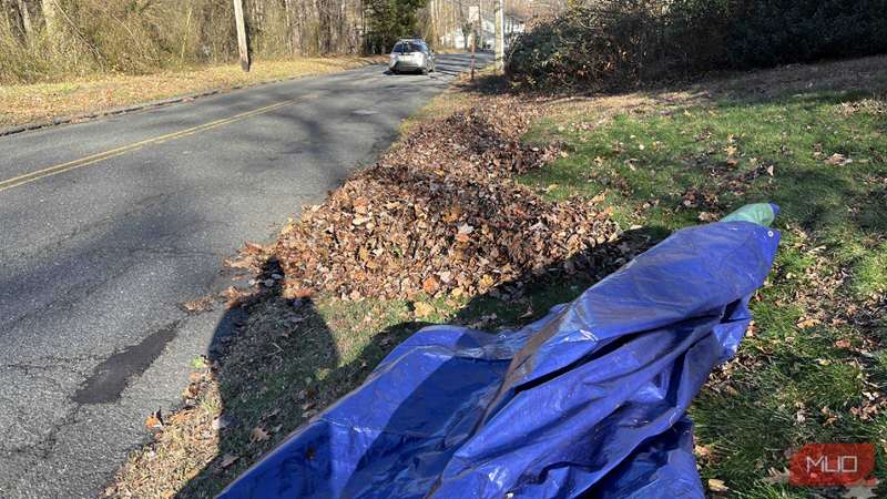 برگ‌ها و یک تَب کنار جاده