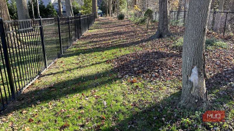 برگ‌ها در توده‌ای روی چمن