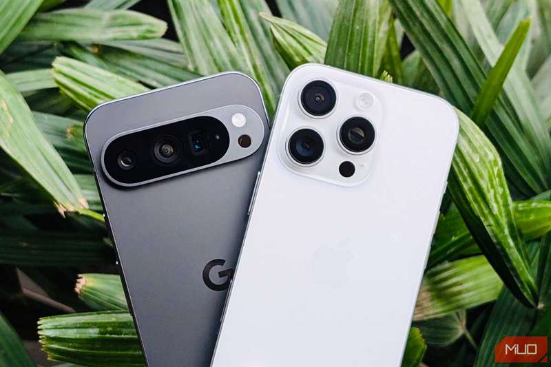 Pixel 9 Pro و iPhone 16 Pro در مقابل یک گیاه