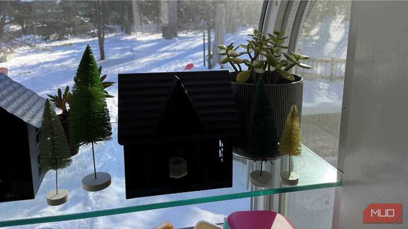 یک گیاه واقعی پشت یک گیاه مصنوعی و تزئینات دیگر تعطیلات