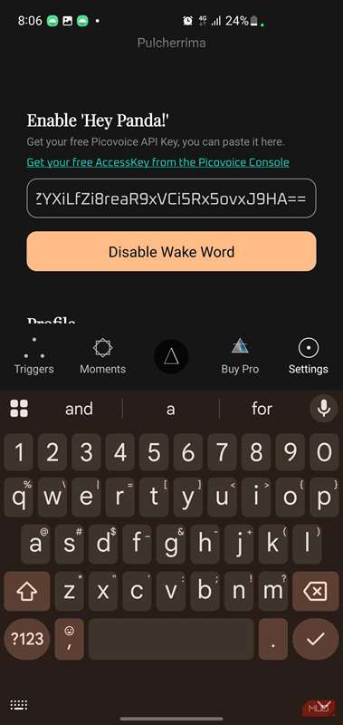 صفحه تنظیمات که فیلد کلید API پر شده را نشان می‌دهد.