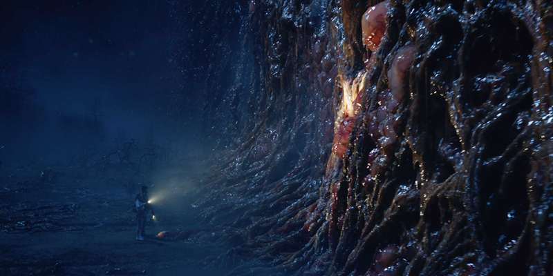 The Upside Down در Stranger Things فصل ۵