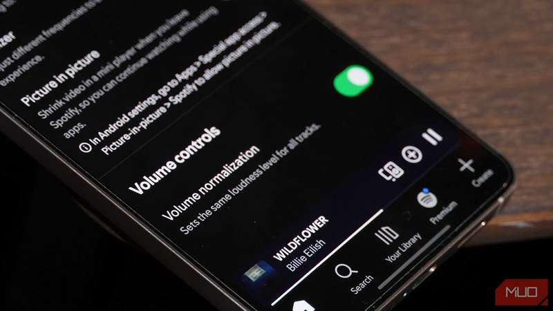 دکمه نرمال‌سازی حجم در برنامه Spotify.
