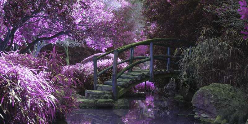 پل چوبی در باغ فانتزی