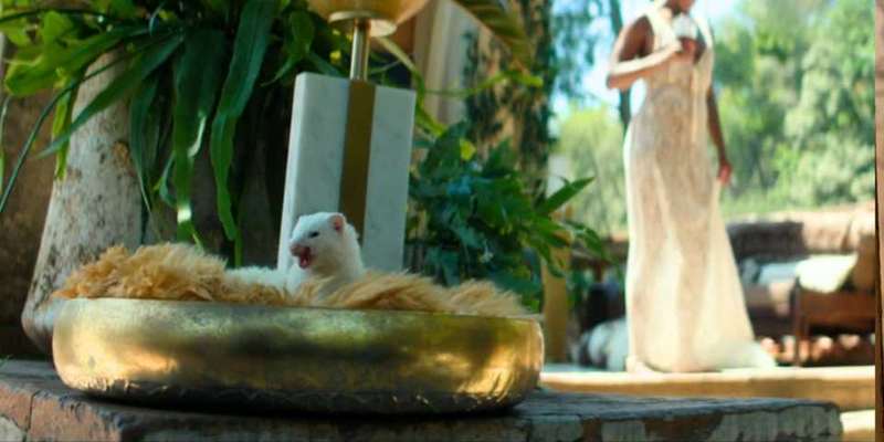 تصویر نام‌ندار 2025-07-17-1