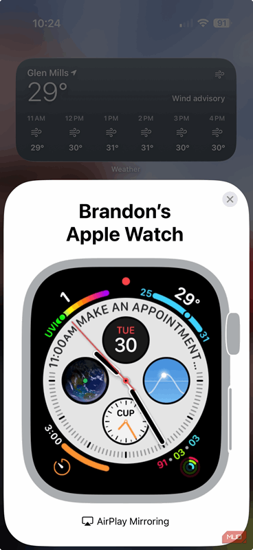 صفحه‌های ساعت در انعکاس Apple Watch