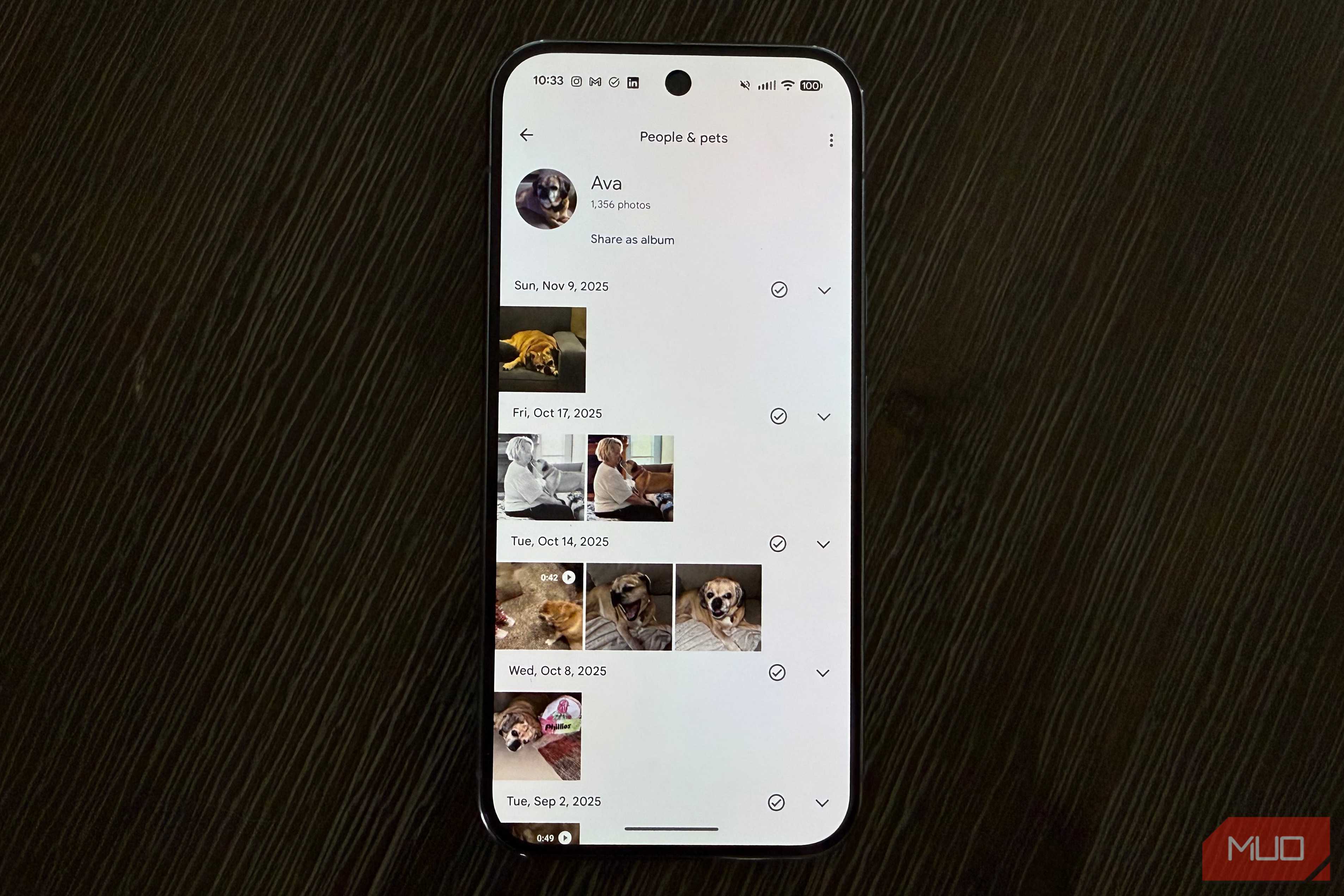 عکسهای سگ در گوگل فوتوز