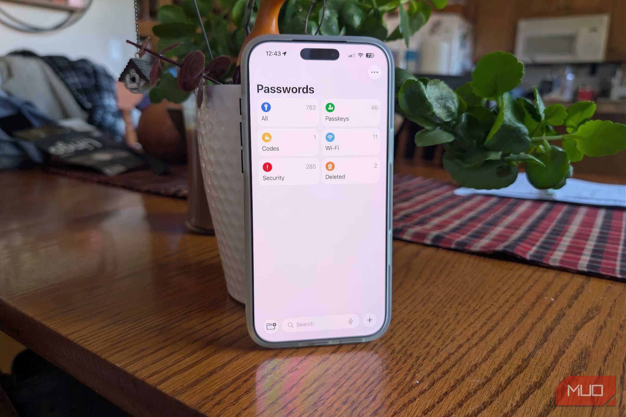 یک آیفون با برنامه Apple iCloud Passwords باز در خانه