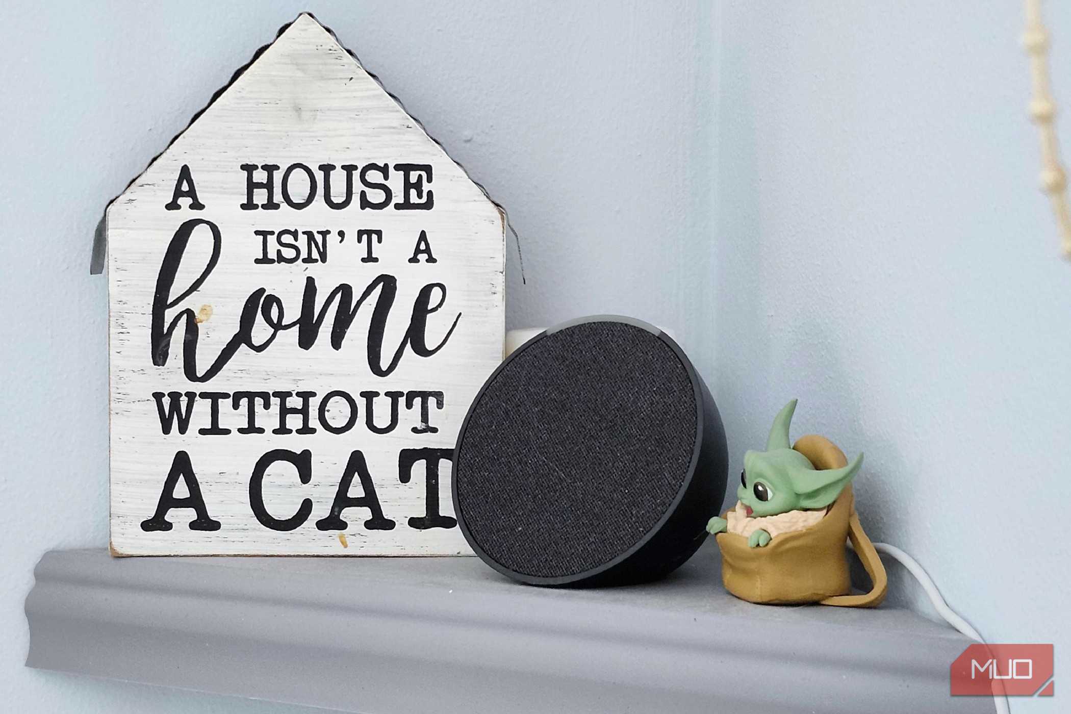 الکسا بر روی قفسه