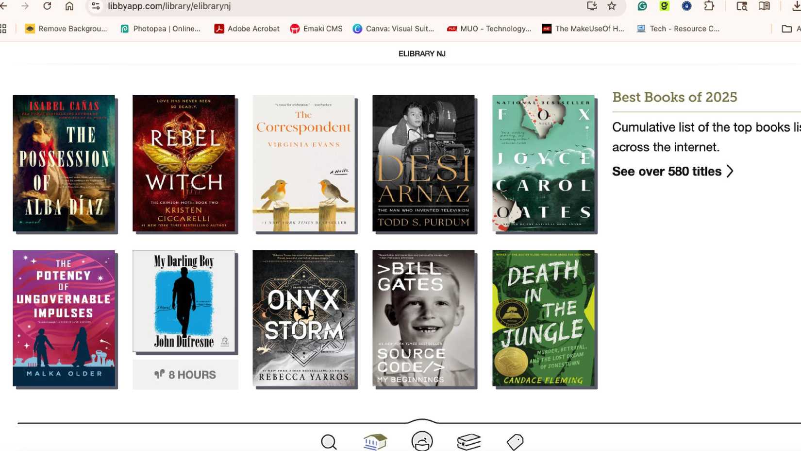 بهترین کتاب‌های 2025 در Libby