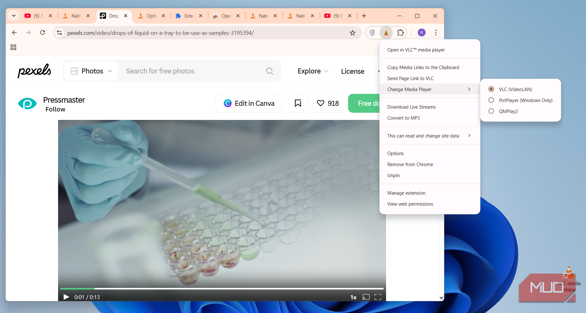 منوی افزونه Open in VLC