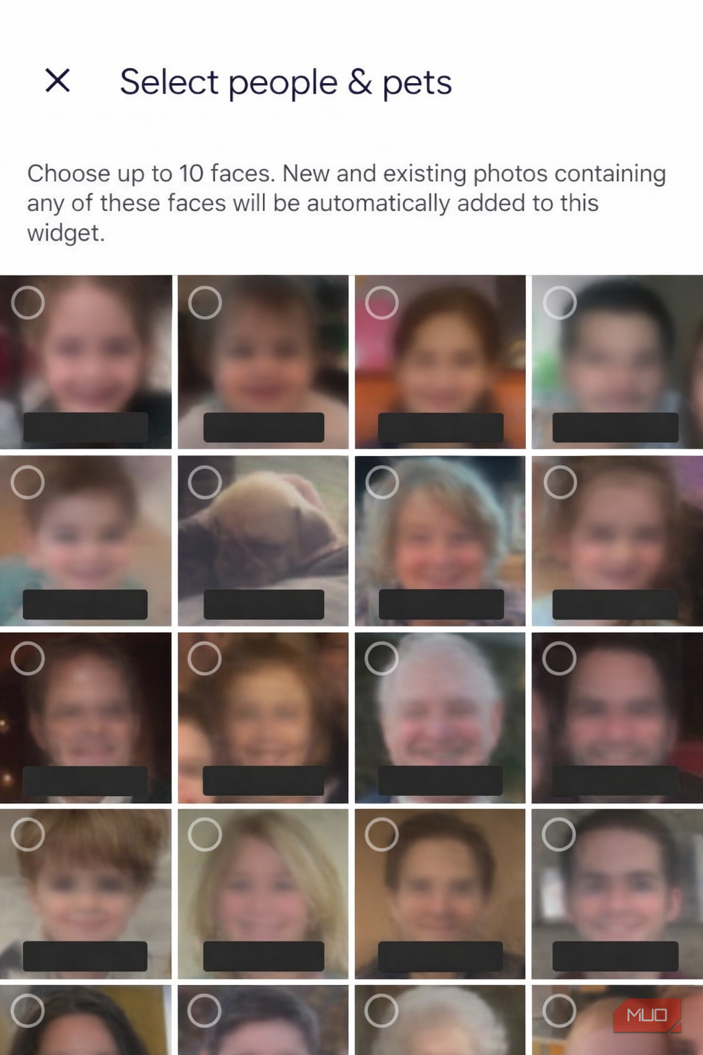 انتخاب افراد و حیوانات خانگی در گوگل فوتوز