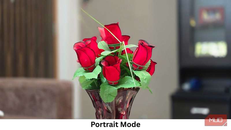 تصویری که در حالت پرتره گرفته شده است