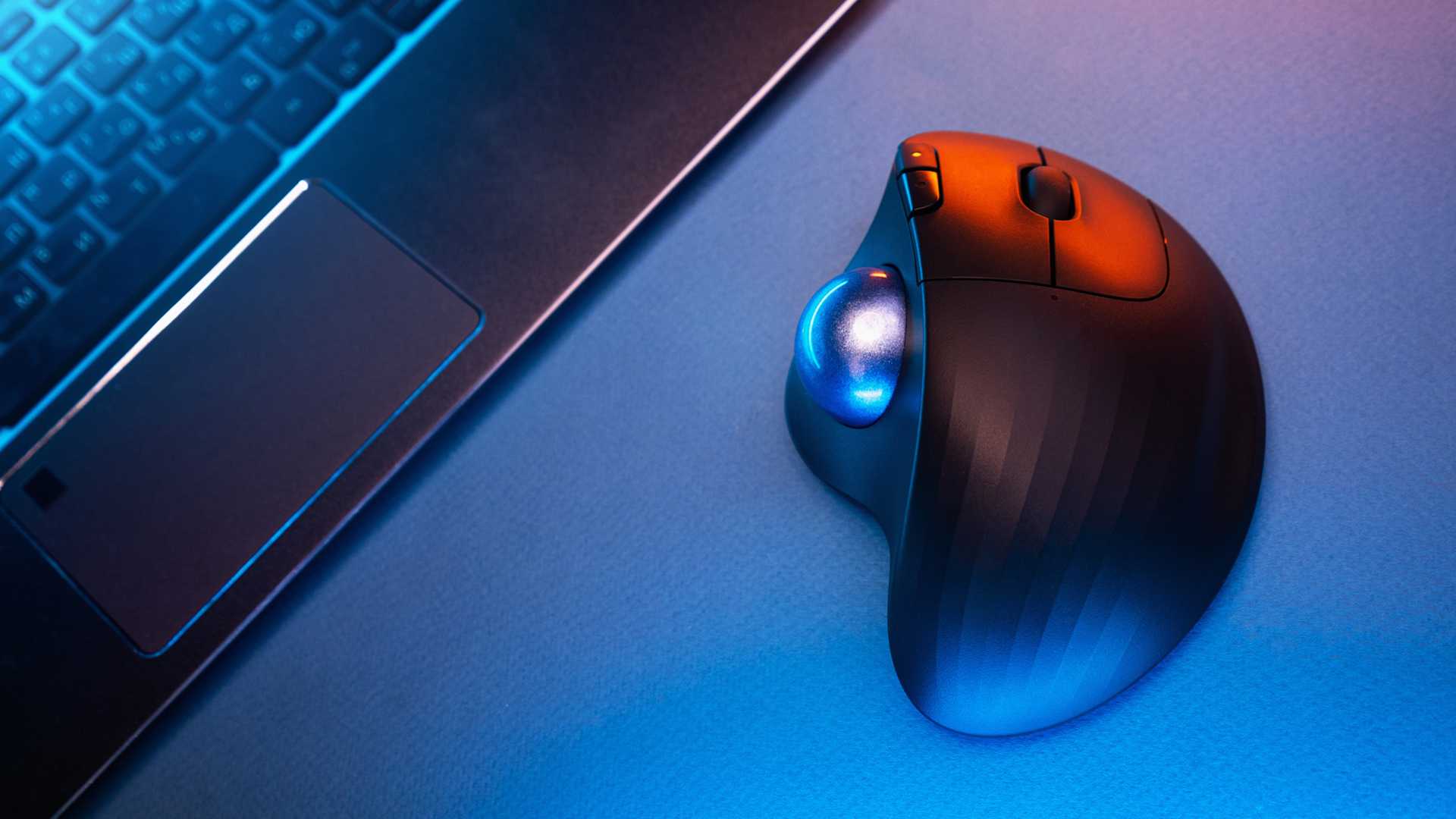 نمای از بالا از یک ماوس ترک‌بال