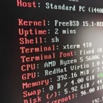 تصویر محیط FreeBSD در ماشین مجازی