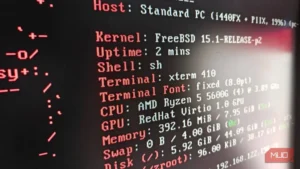 تصویر محیط FreeBSD در ماشین مجازی