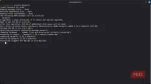 نمایی از نصب mergerfs روی Linux Mint برای ترکیب چند درایو.