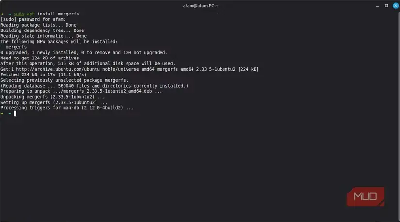 نمایی از نصب mergerfs روی Linux Mint برای ترکیب چند درایو.