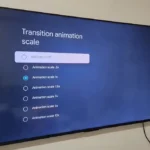 صفحه تنظیم Transition Animation scale در تنظیمات Google TV.
