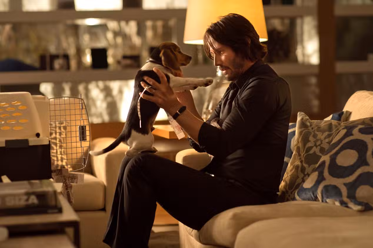 نمایی از فیلم John Wick در حالوهوای تیره و اکشن مجموعه.