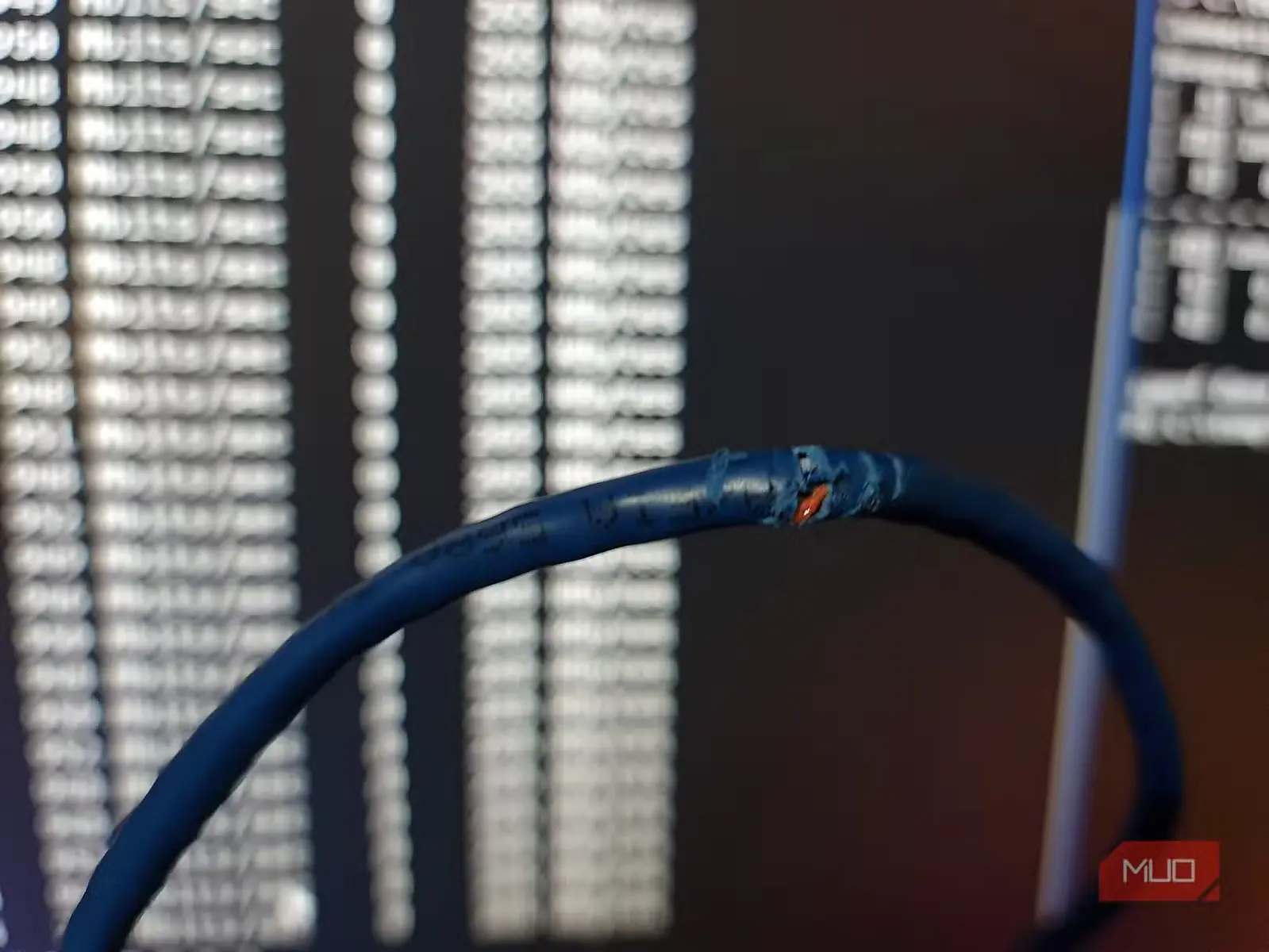 کابل اترنت Cat5e توسط جونده جویده شده با هادیهای در معرض