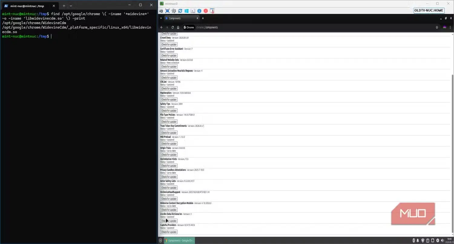 نشست SSH و VNC در Linux Mint با بررسی پشتیبانی Widevine DRM