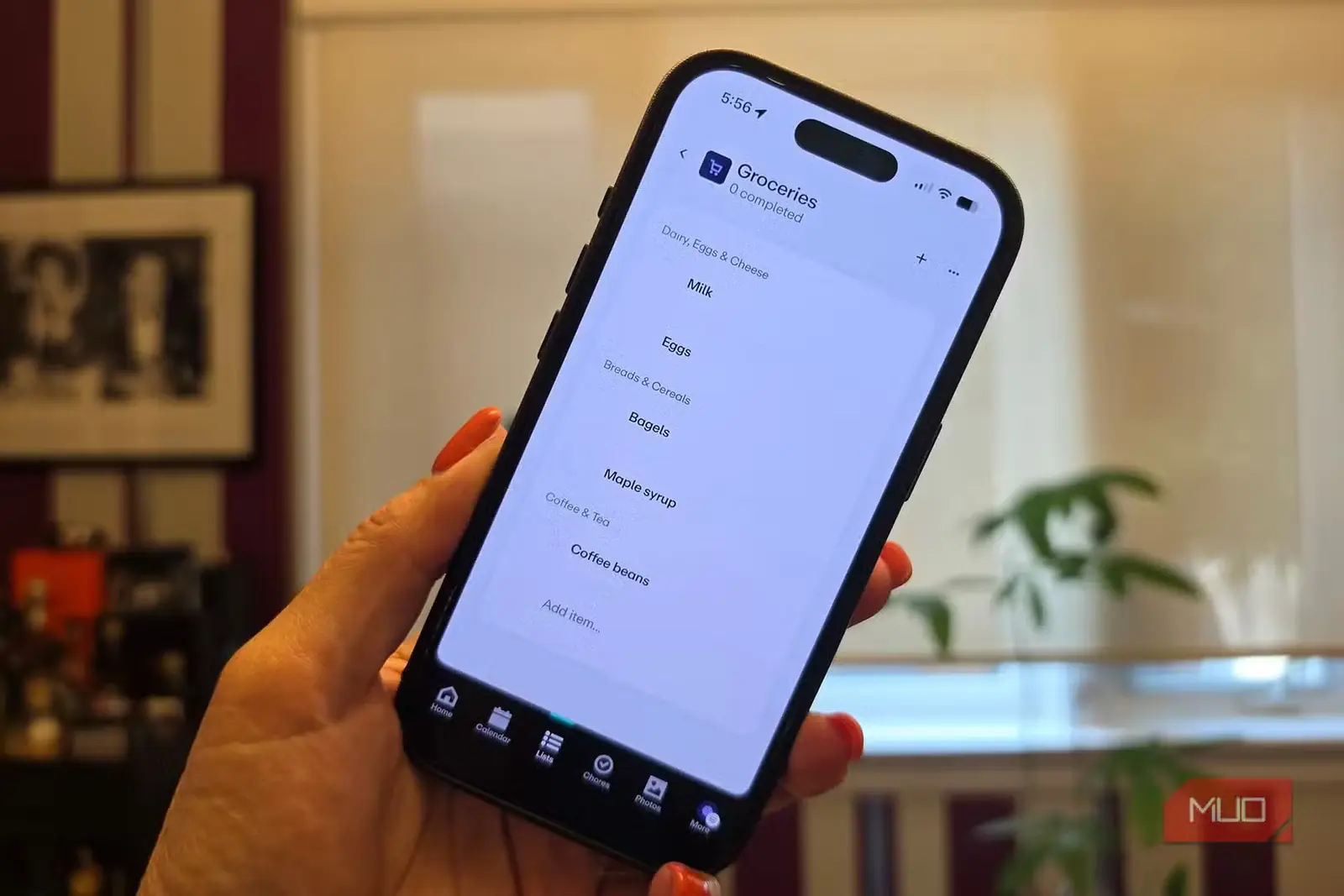 آیفون نمایش برنامهٔ گرینلایت با فهرست خرید
