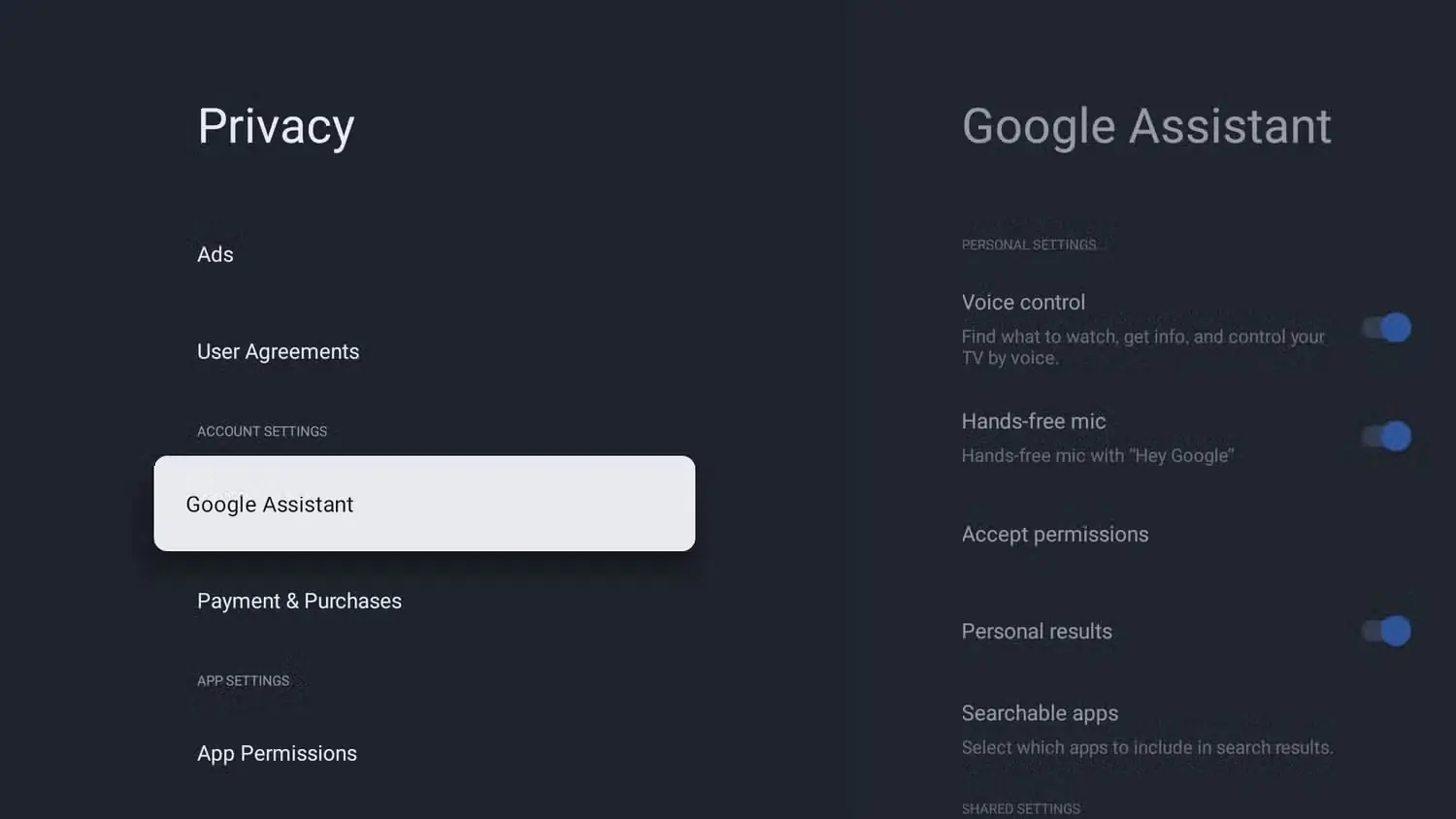 صفحه تنظیمات حریم خصوصی در Google TV OS