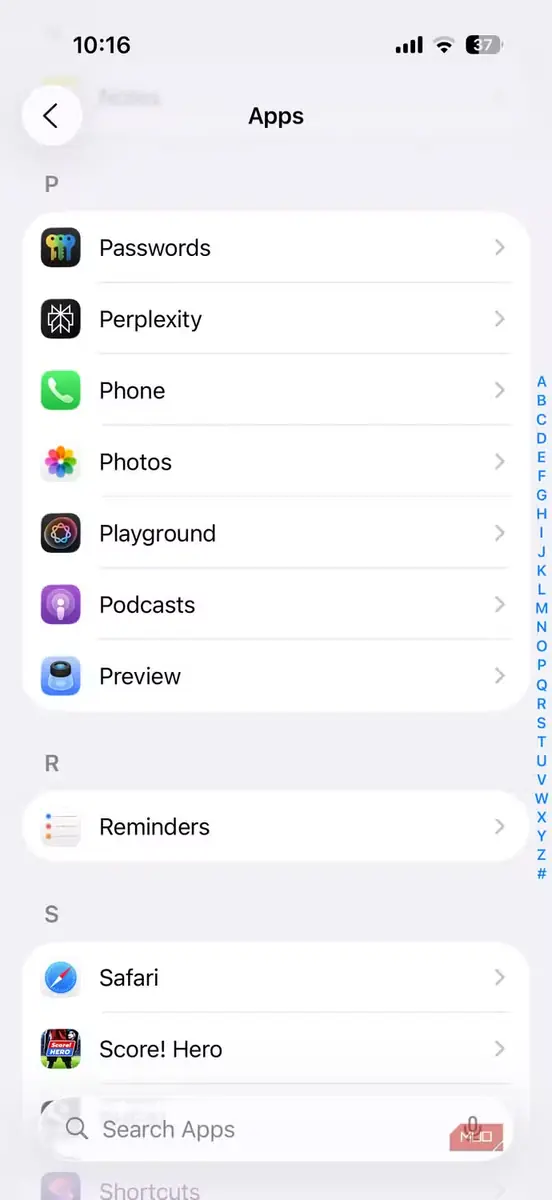 نمای فهرست برنامهها در تنظیمات iPhone