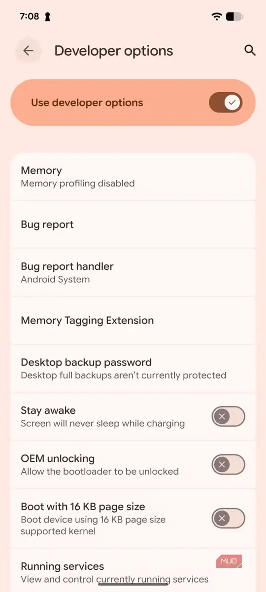 تصویری از گزینههای توسعهدهنده در Google Pixel 8