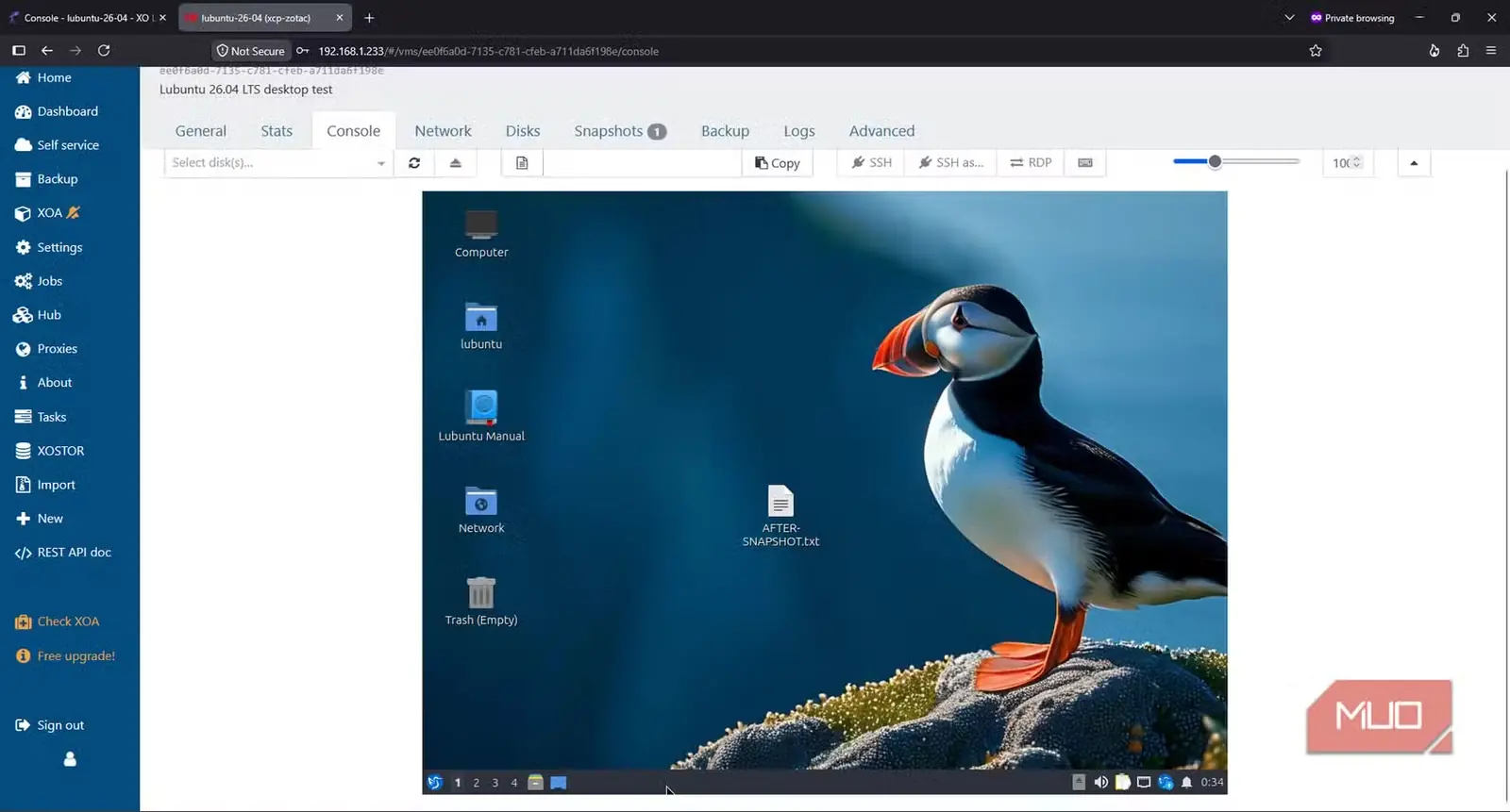 میزکار Lubuntu با پسزمینهٔ تغییریافته و پروندهٔ آزمایشی ساختهشده پس از گرفتن اسنپشات XCP-ng