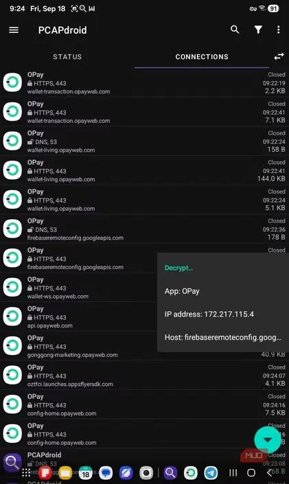 گزینههای دامنهٔ اتصال OPay در PCAPdroid