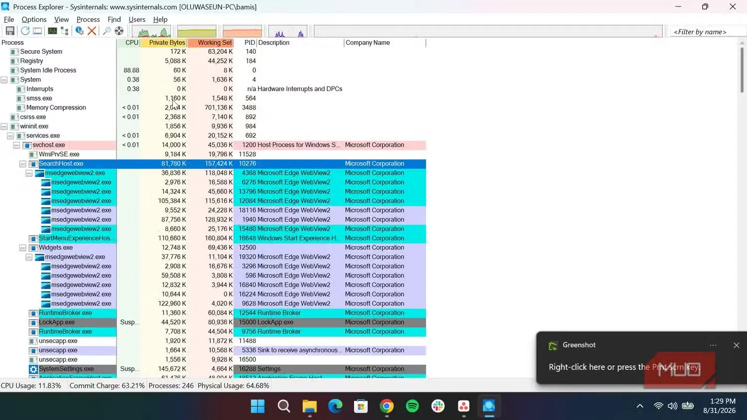 نمای اصلی برنامهٔ Process Explorer