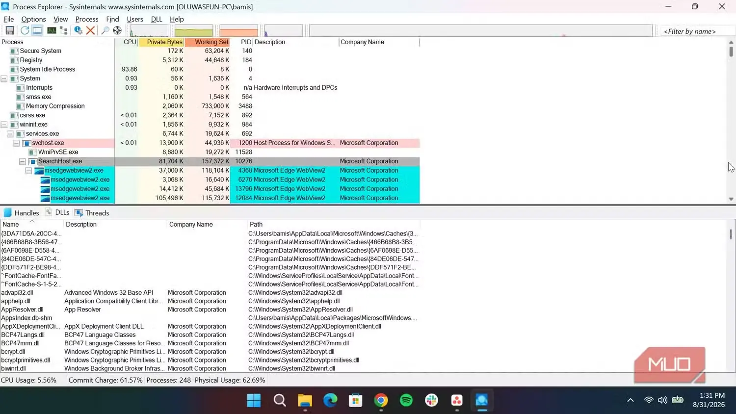 پنل پایینی برنامهٔ Process Explorer