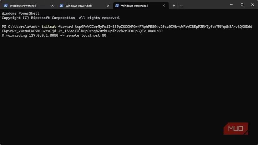 هدایت درگاه در Tailnet