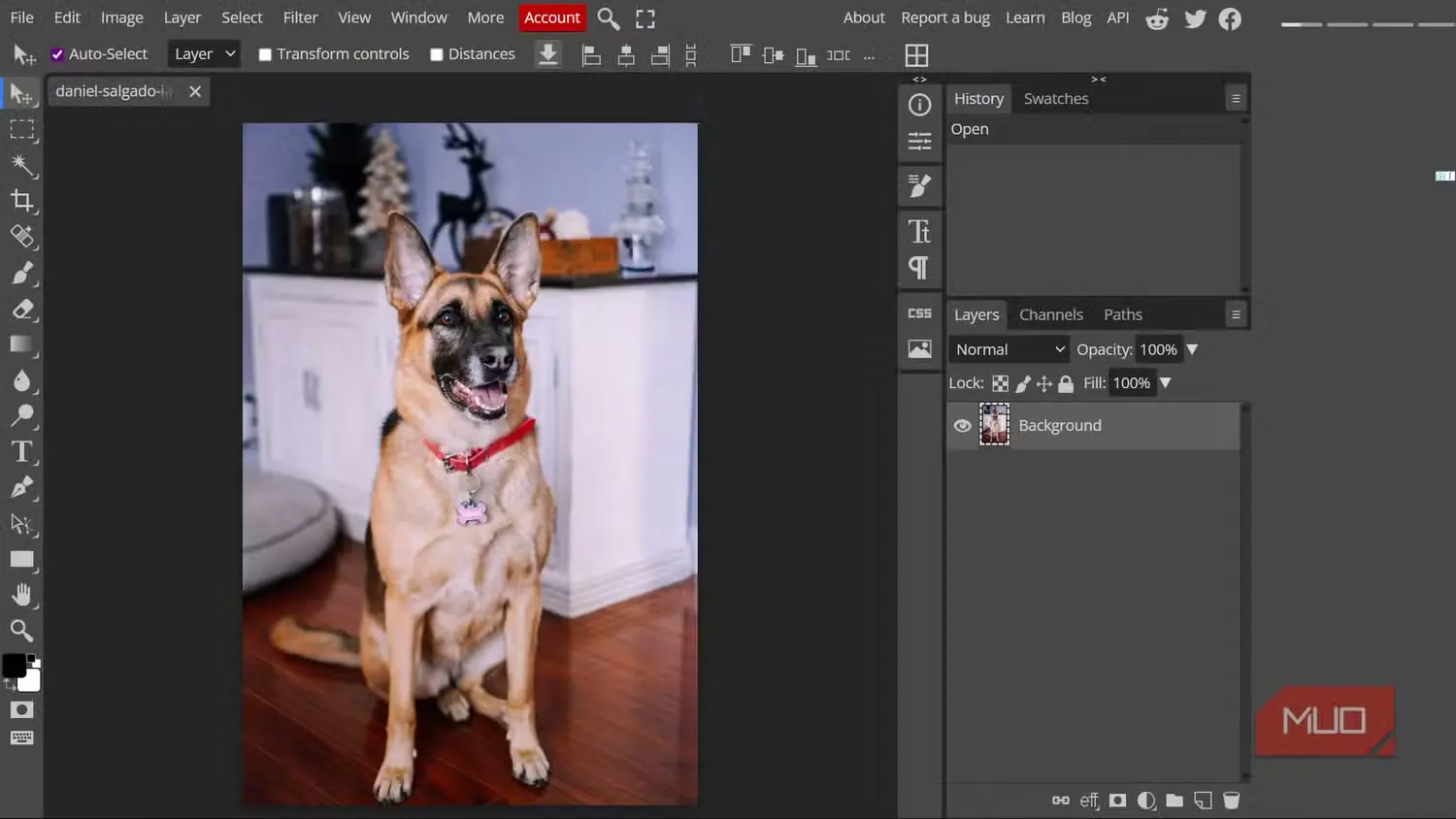 ویرایش یک تصویر در Photopea