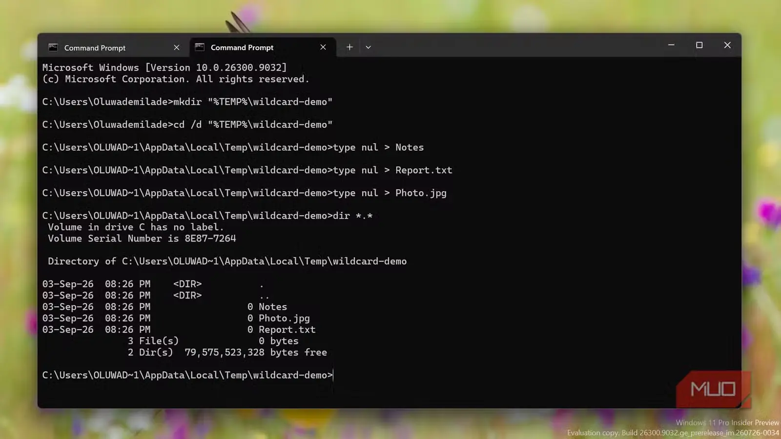 اجرای فرمانهای فهرستکردن محتوای پوشه در خط فرمان Windows
