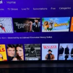 Apple و Google همچنان در پی کنارزدن Roku هستند، اما این پلتفرم به شش دلیل بزرگ‌ترین نام صنعت پخش جریانی آمریکا است